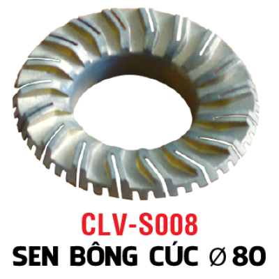 SEN BÔNG CÚC 80